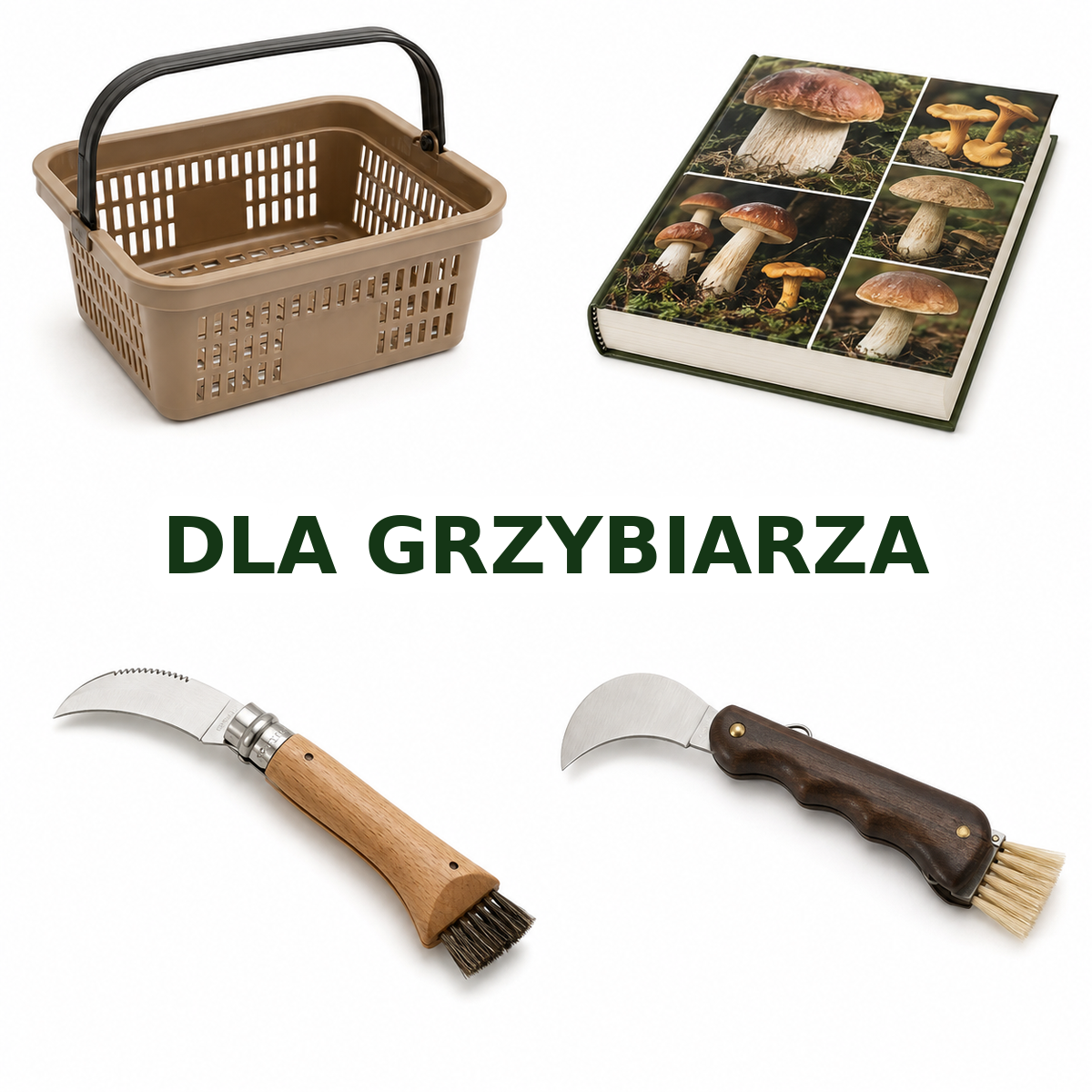 DLA GRZYBIARZA