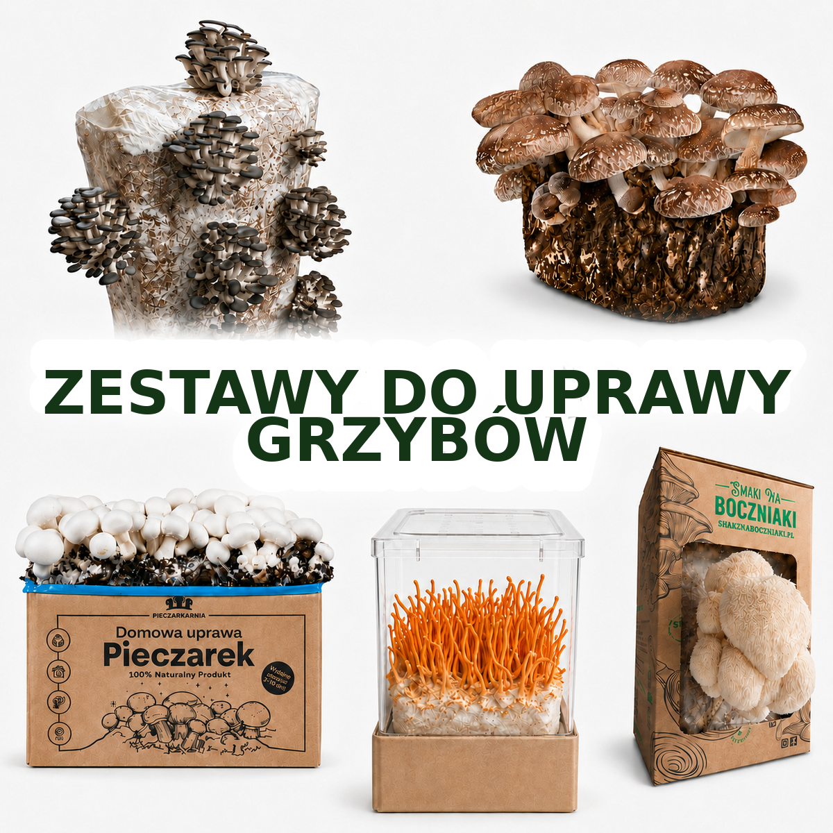 ZESTAWY DO UPRAWY