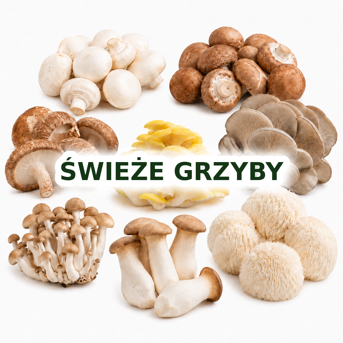 ŚWIEŻE GRZYBY
